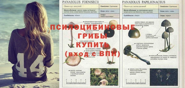 ПСИЛОЦИБИНОВЫЕ ГРИБЫ Абдулино